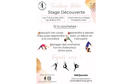 Stage Découverte